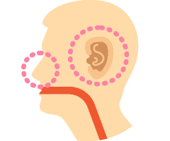 口・のど・耳・鼻