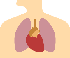 肺・縦隔・胸膜