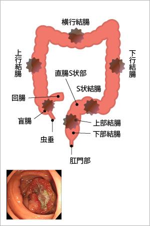 図1