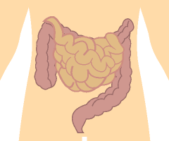 食道・胃・大腸