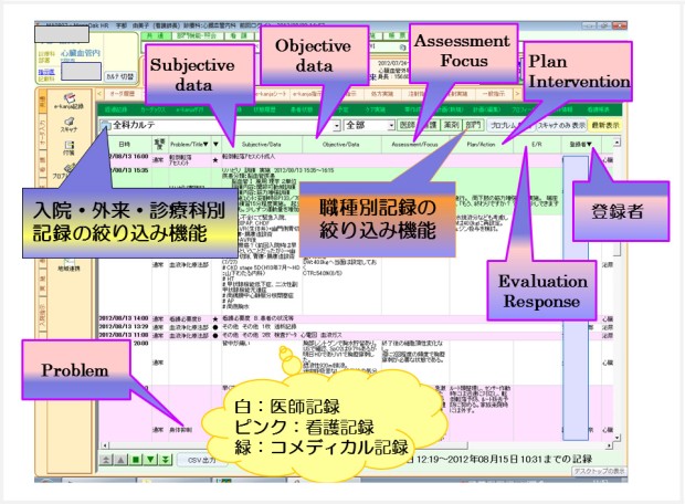 図：e-kanjaサマリ画面