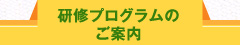 歯科医師臨床研修プログラムのご案内