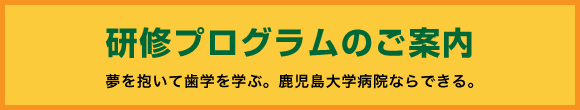 歯科医師臨床研修プログラムのご案内