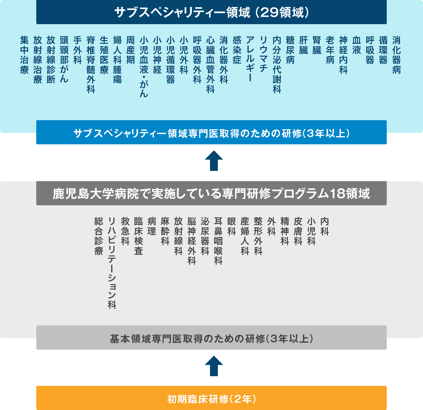 専門研修プログラム,基本領域とサブスペシャリティ領域一覧