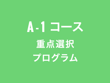 A1コース,重点選択プログラム