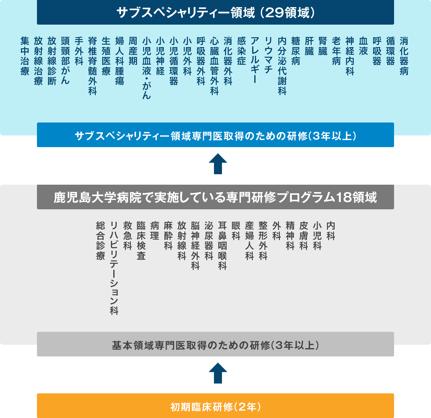 基本領域とサブスペシャリティ領域一覧