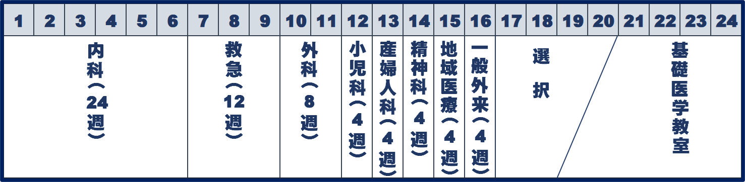 基礎研究医コース／基礎研究医プログラム