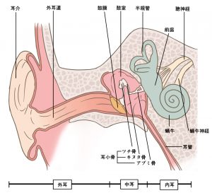 耳疾患