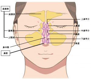 鼻疾患
