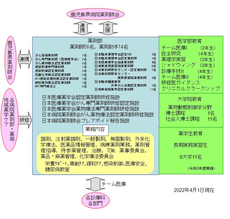 薬剤部組織図